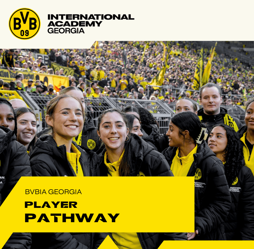 The BVBIA Player Pathway
